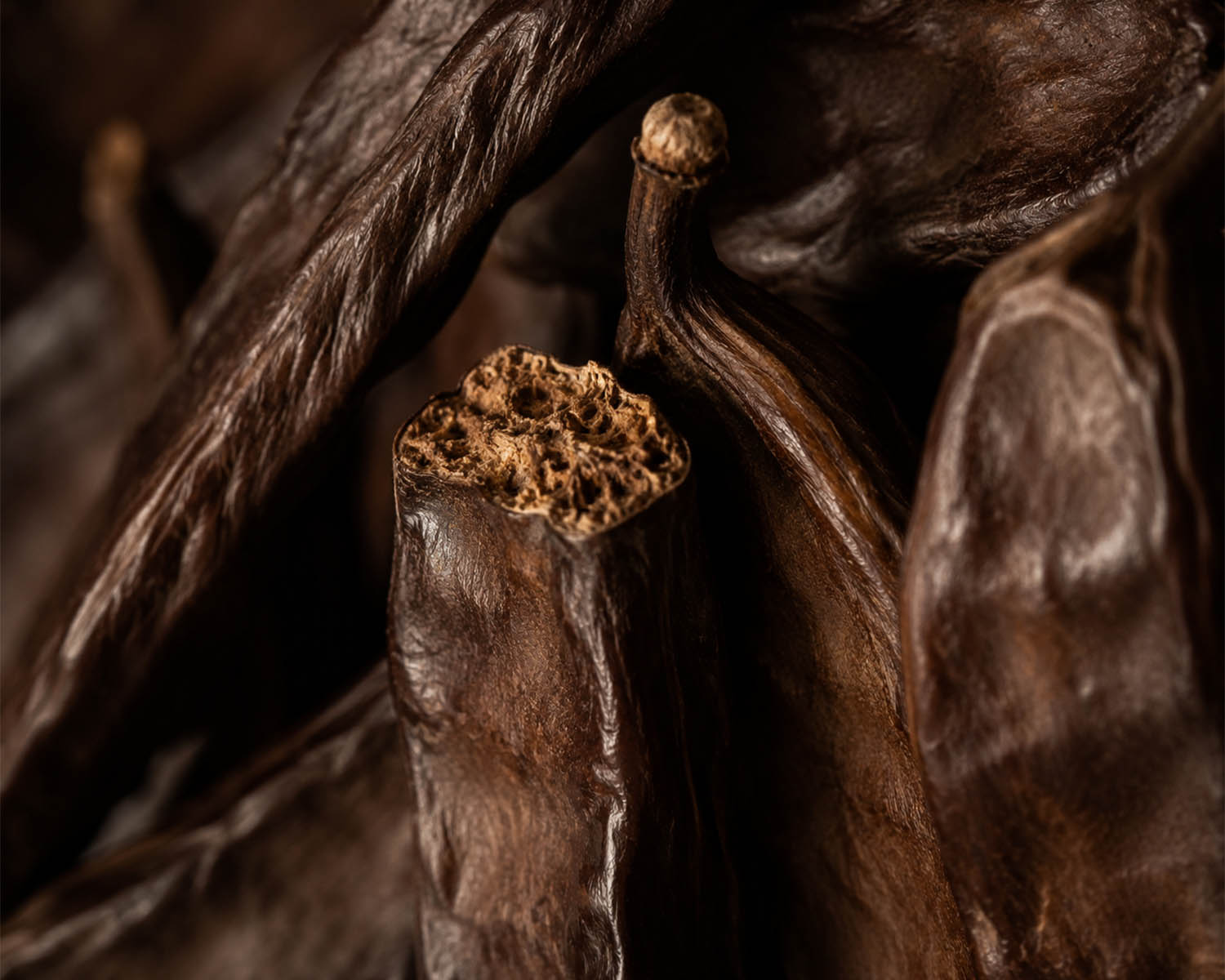 Uses of Carob in the Kitchen