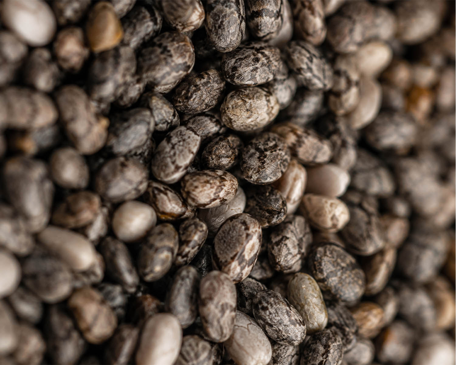 Chia Seeds, the Nutritional Treasure Many People Overlook