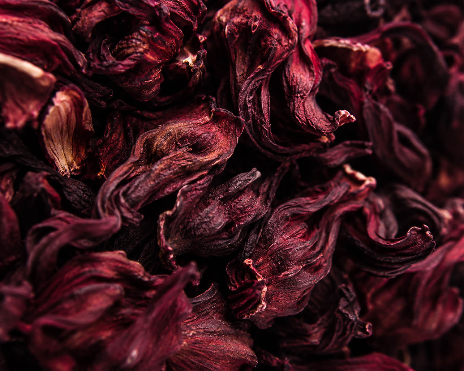 Do You Know What Hibiscus Can Do for Your Body and Skin?